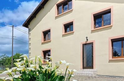 vente maison 299 000 € à proximité de Fougerolles (70220)