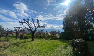 Photo N° 7