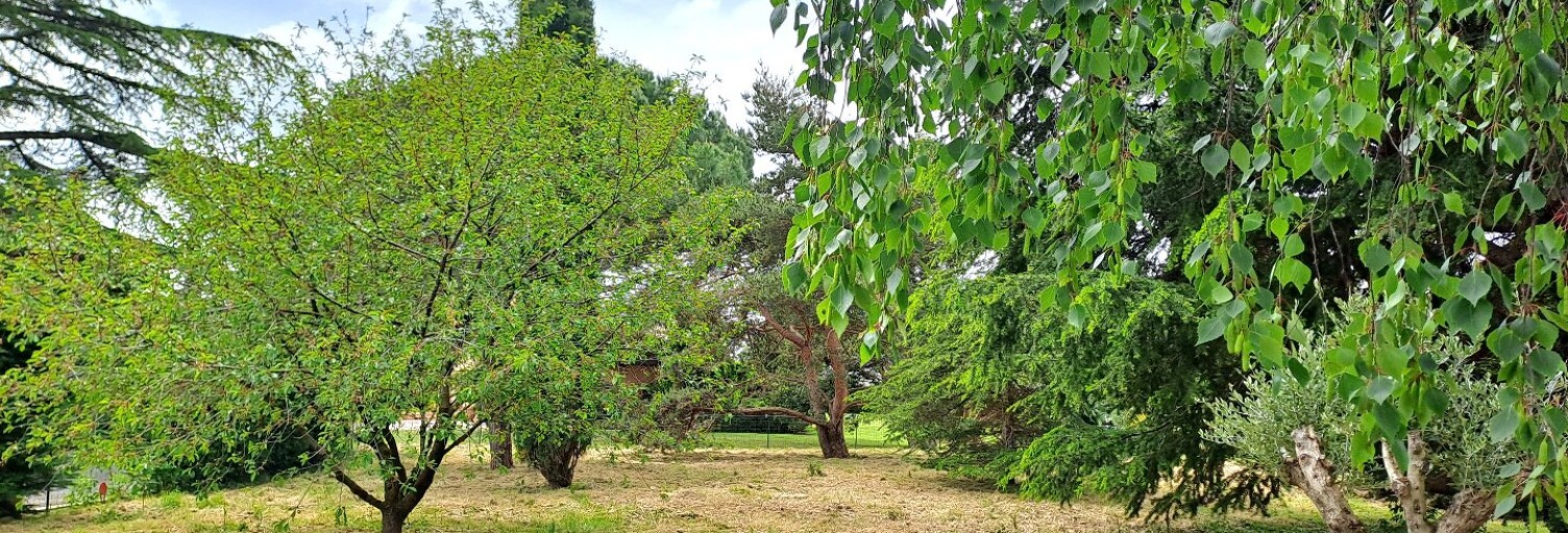 Terrain  697 m² à vendre à Fronton (31620)