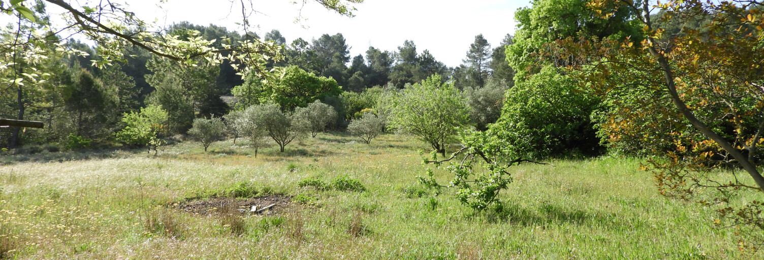 Terrain  2008 m² à vendre à Clermont-l'Hérault (34800)