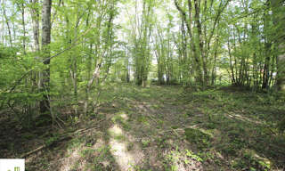 Terrain  2312 m² à vendre à Melleroy (45220)