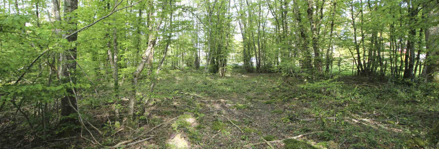 Terrain  2312 m² à vendre à Melleroy (45220)