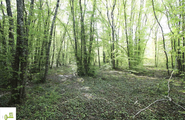 Terain à bâtir — photo 2