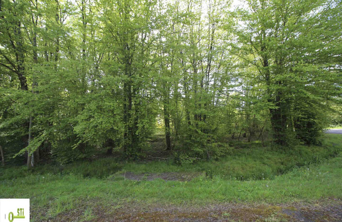 Terain à bâtir — photo 3
