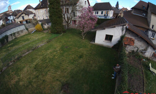 Photo N° 15