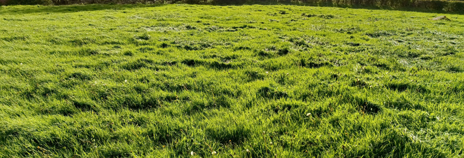 Terrain  1040 m² à vendre à Nielles-lès-Bléquin (62380)