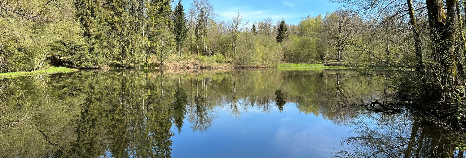 Terrain  17892 m² à vendre à Servance-Miellin (70440)