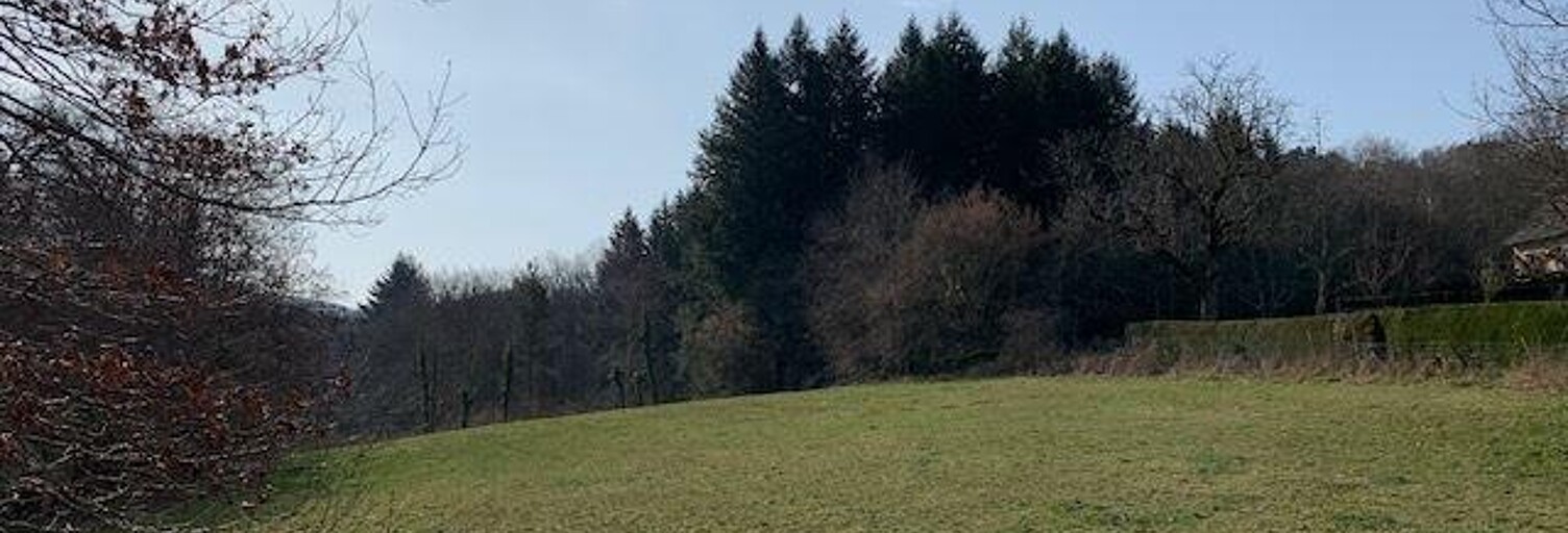 Terrain  3961 m² à vendre à Affieux (19260)