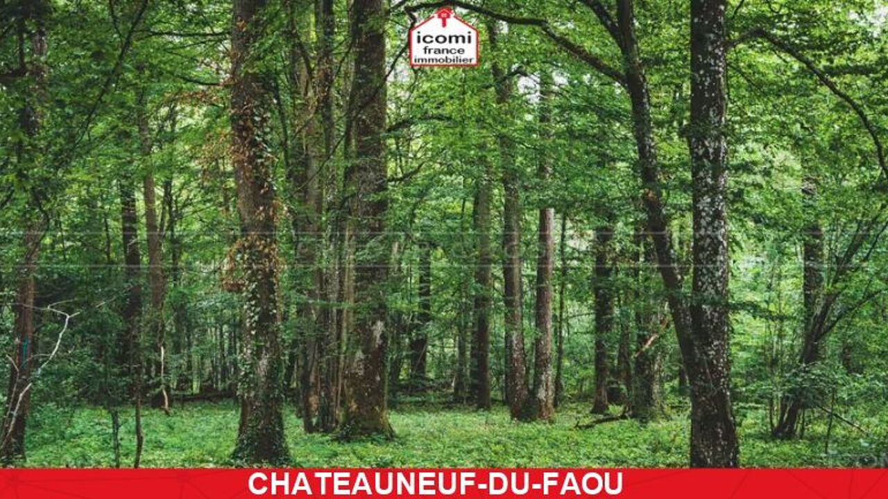 terrain  pièces 3000 m2 à vendre à Châteauneuf-du-Faou (29520)