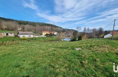 vente terrain 75 000 € à proximité de Ban-de-Laveline (88520)