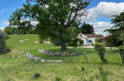 vente maison 420 000 € à proximité de Montgaillard (65200)