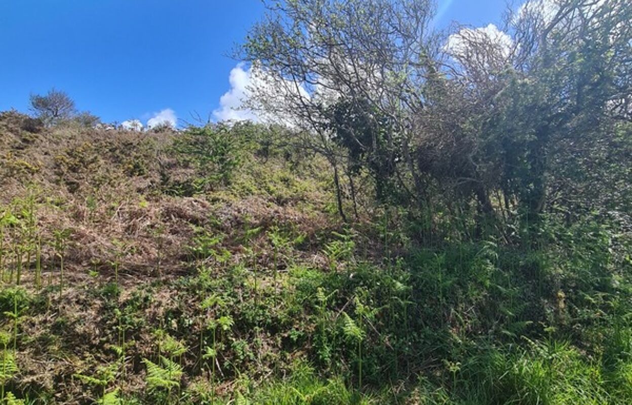 terrain  pièces 2690 m2 à vendre à Crozon (29160)