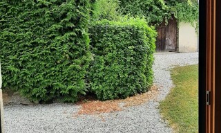 Photo N° 6