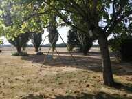VENTE d'une longère 6 pièces (174 m²)  Monnaie — photo 4