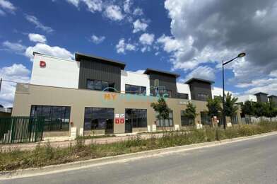 Local industriel  623925 €