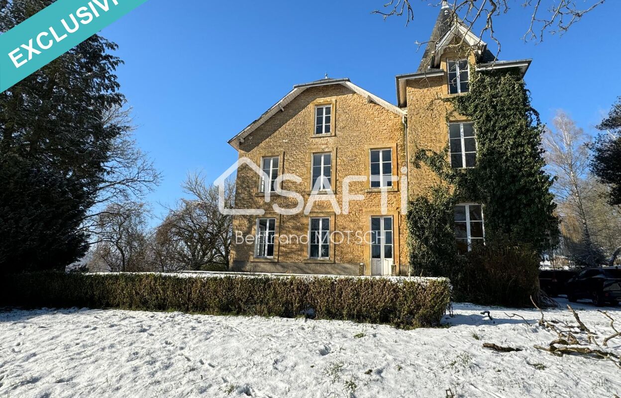 maison 20 pièces 450 m2 à vendre à Épiez-sur-Chiers (54260)