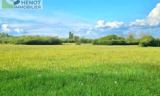 Terrain  20000 m² à vendre à Domgermain (54119)