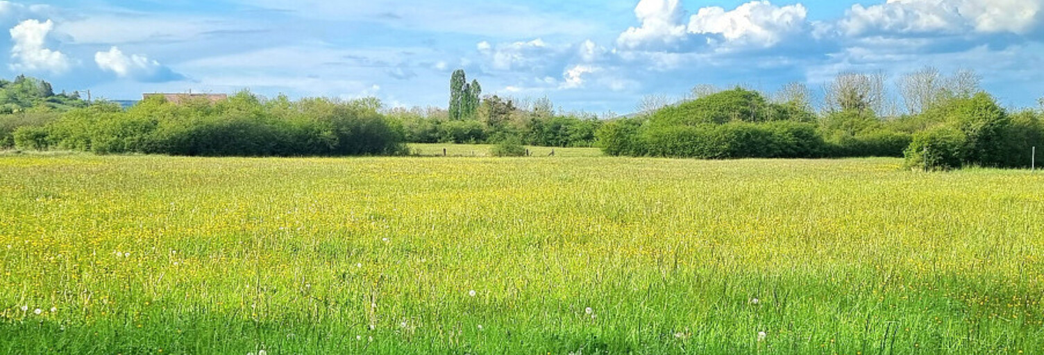 Terrain  20000 m² à vendre à Domgermain (54119)