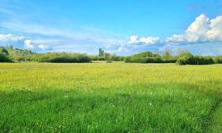 Terrain  20000 m² à vendre à Domgermain (54119)