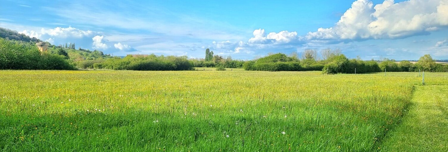 Terrain  20000 m² à vendre à Domgermain (54119)