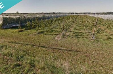 vente terrain 168 000 € à proximité de Villeneuve-Lès-Bouloc (31620)