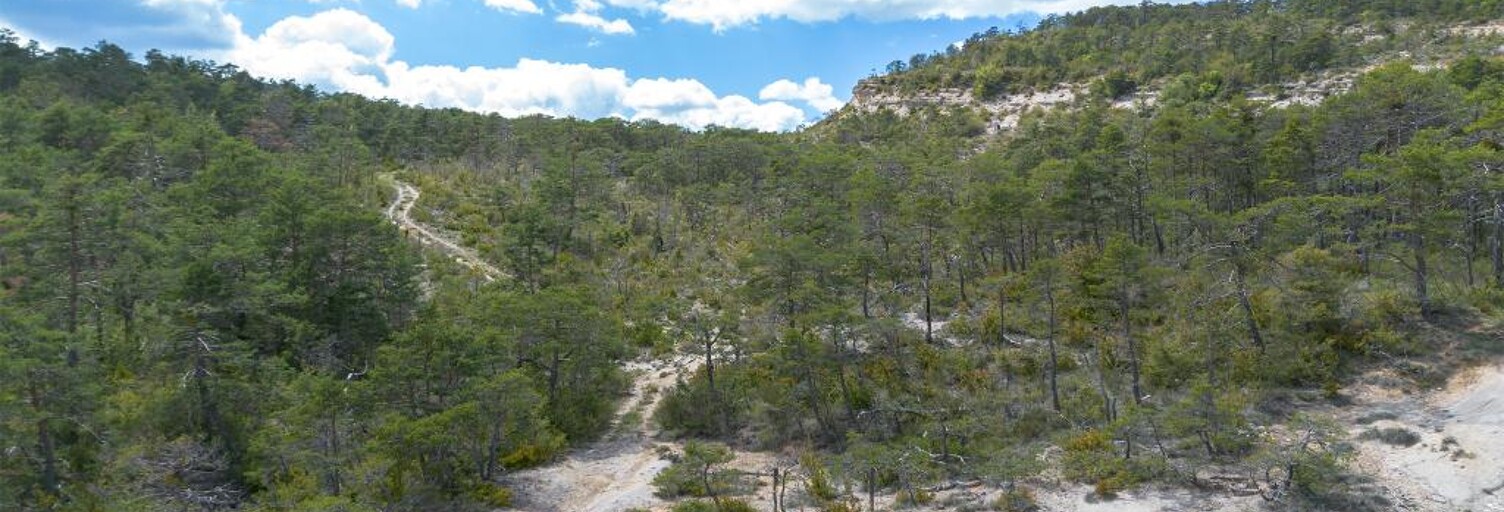 Maison  92370 m² à vendre à Trigance (83840)