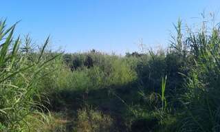 Terrain   m² à vendre à Saint-André (97440)