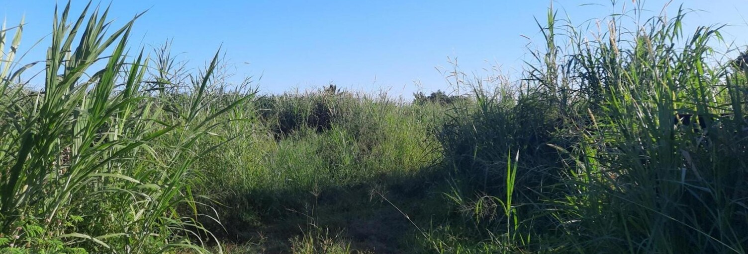 Terrain   m² à vendre à Saint-André (97440)