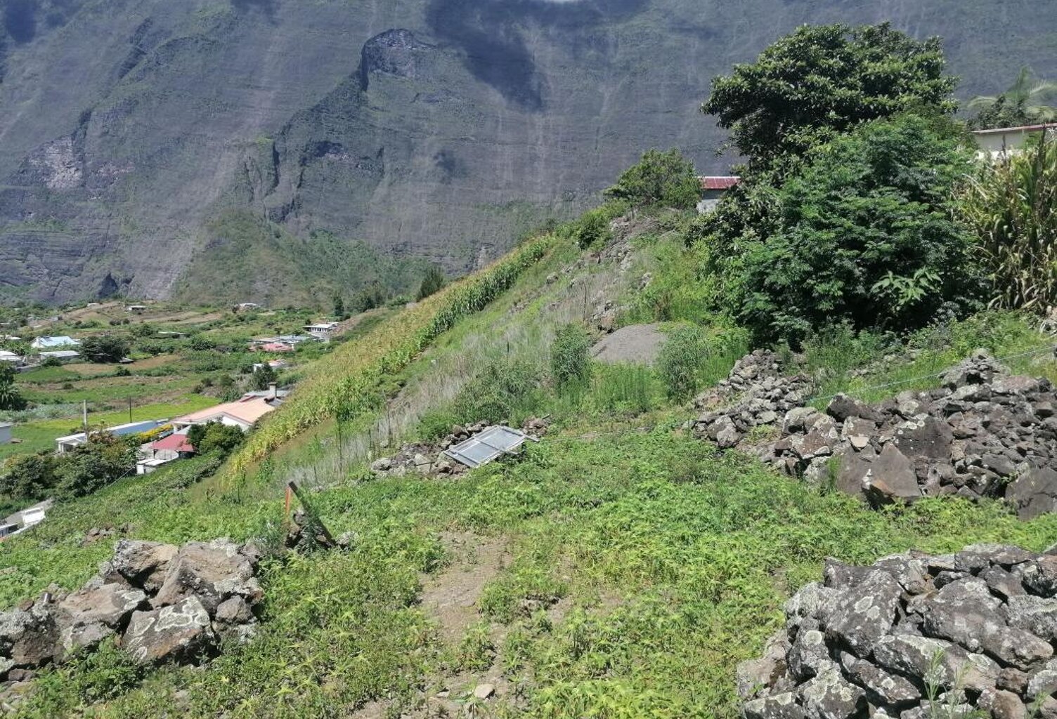 ORPI-CILAOS Terrain 800 m² — photo 1