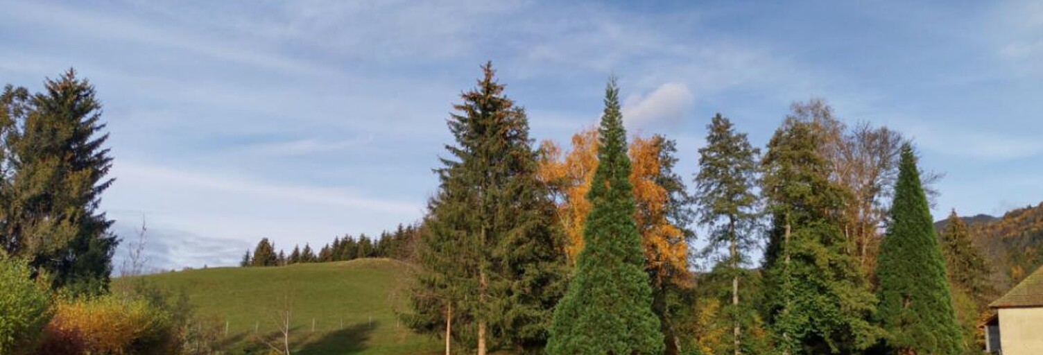 Terrain 559 m² à construire Laval-en-Belledonne (38190)