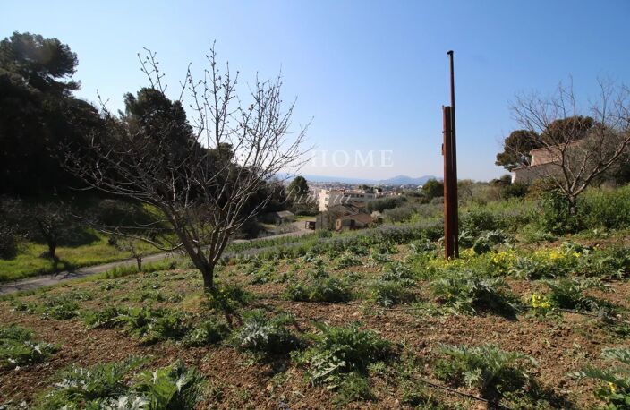 Achat / Vente  Terrain Le Cannet Vue mer — photo 5