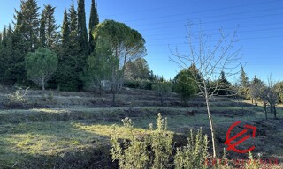 Photo N° 4