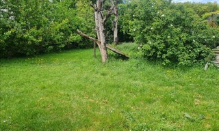 Photo N° 4
