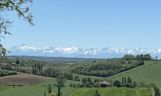 Photo N° 4