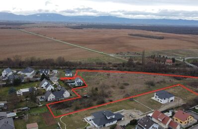 vente terrain 135 660 € à proximité de Meyenheim (68890)