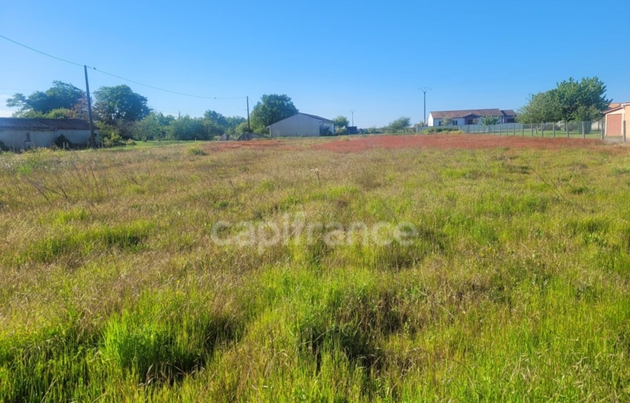 terrain  pièces 1130 m2 à vendre à Cissac-Médoc (33250)