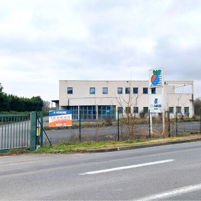 Local industriel  1566000 €