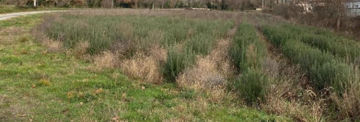 Terrain 400 m² à construire Puygiron (26160)