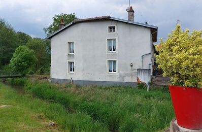 vente maison 65 000 € à proximité de Gruey-Lès-Surance (88240)