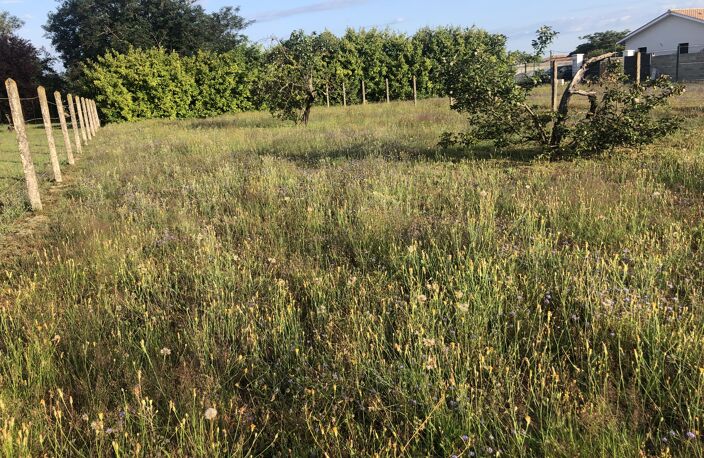 Terrains prêts à bâtir à AMBARES (33)  — photo 4