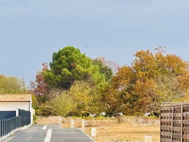 Terrains prêts à bâtir à AMBARES (33)  — photo 1
