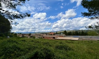 Photo N° 4