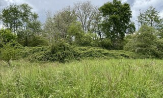 Terrain  998 m² à vendre à Losse (40240)