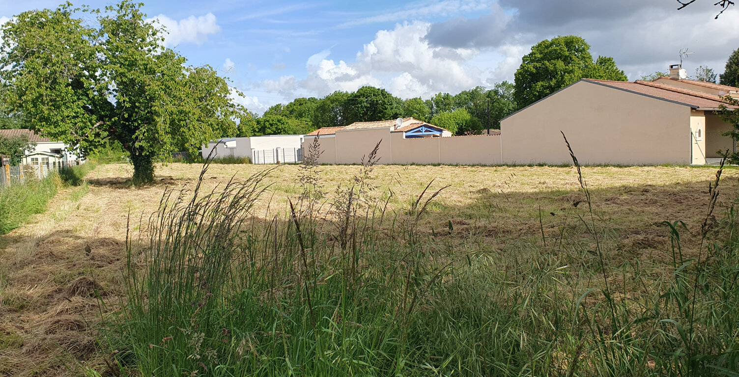 Vente terrain   Pessines (17810) — photo 1
