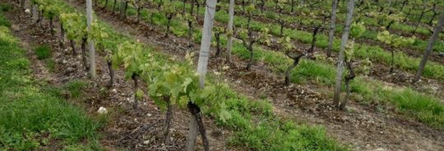 Divers  65000 m² à vendre à Ordonnac (33340)