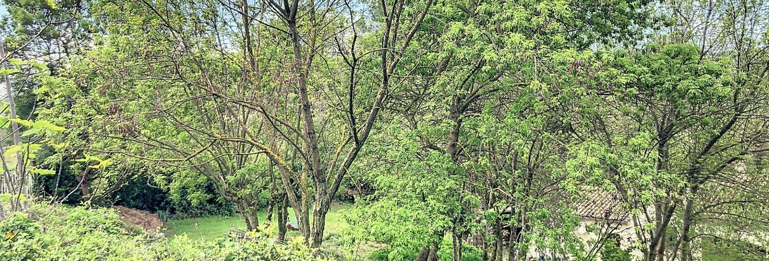 Terrain  702 m² à vendre à Cruviers-Lascours (30360)