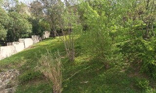 Photo N° 4