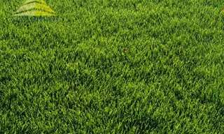 Terrain  650 m² à vendre à Périgny (94520)