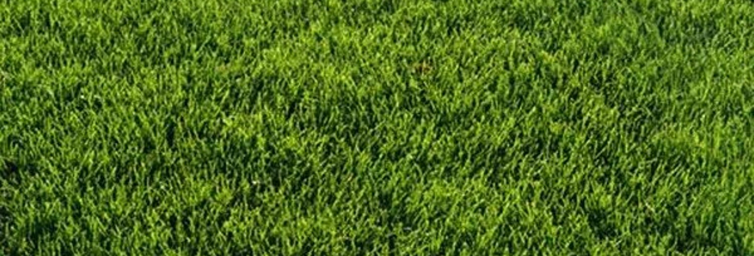 Terrain  650 m² à vendre à Périgny (94520)