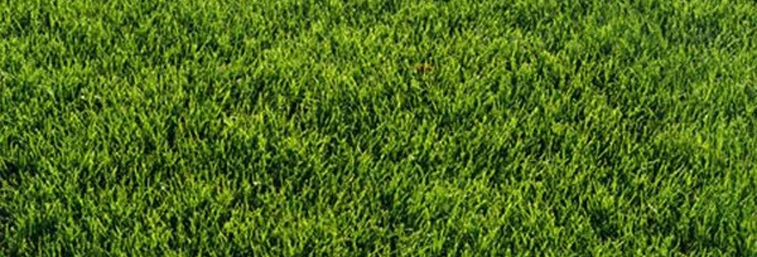 Terrain  650 m² à vendre à Périgny (94520)